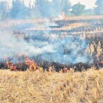 Awerness program for farmers on Vari Koyyalu