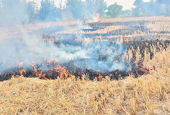 Awerness program for farmers on Vari Koyyalu