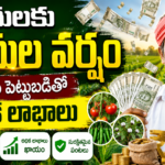 vetiver-farming-profitable-crop-for-rayalaseema-farmers