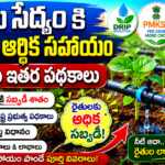 bindu-sedyam-prabhutva-subsidy-padhakalu-raithulaku-prayojanalu