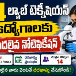 14 Lab Technician and STLS Posts Recruitment