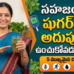 how-to-control-sugar-level-naturally-in-telugu
