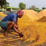 telangana-paddy-procurement-issue-2026