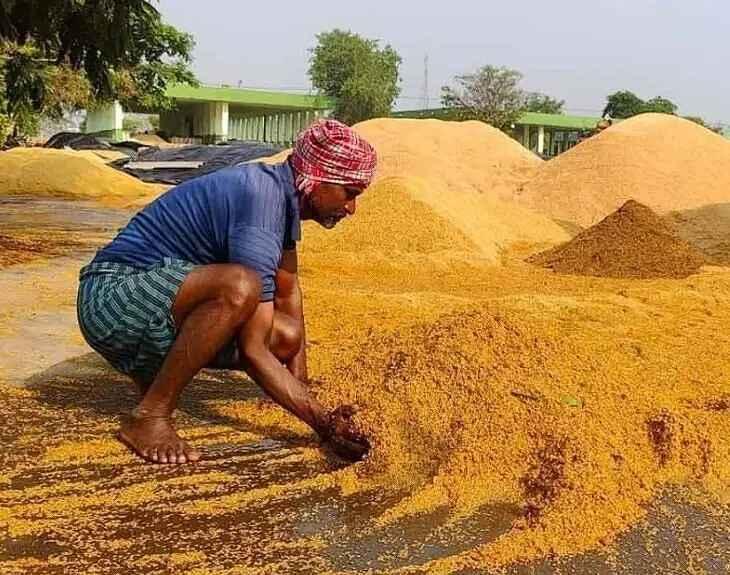 telangana-paddy-procurement-issue-2026