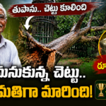 bengaluru-man-sandalwood-tree-income