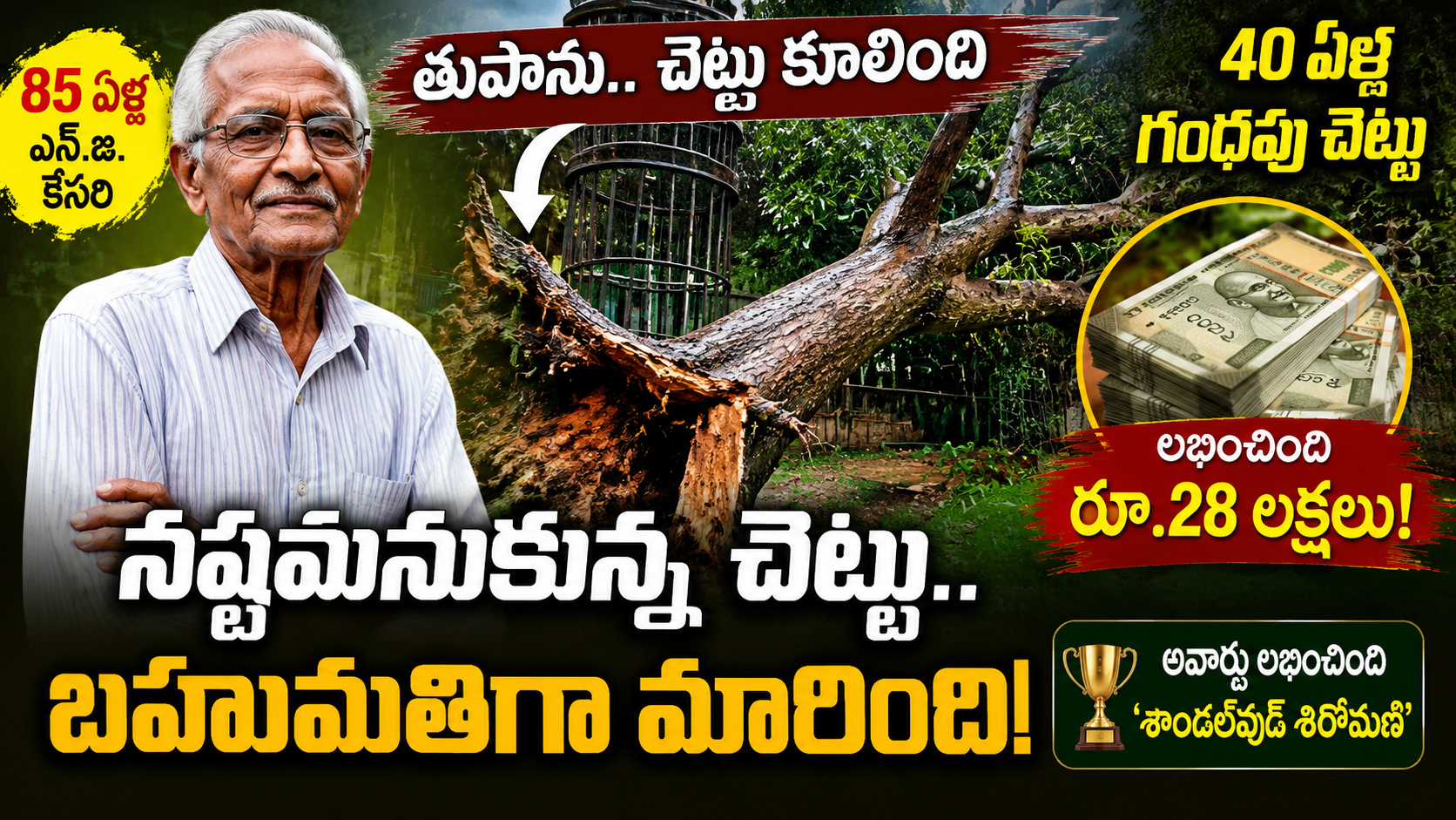 bengaluru-man-sandalwood-tree-income