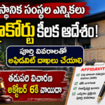 ap-local-body-elections-high-court-affidavit-october-6-hearing