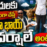 mp-donkeys-fed-gulab-jamuns-for-rain-viral-news