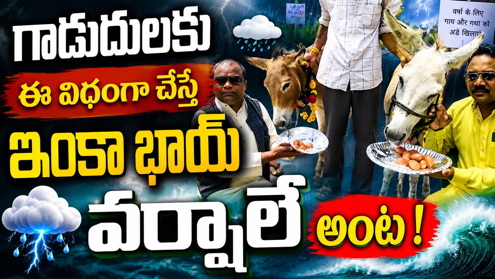 mp-donkeys-fed-gulab-jamuns-for-rain-viral-news