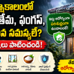 monsoon-home-moisture-fungus-prevention-tips-telugu