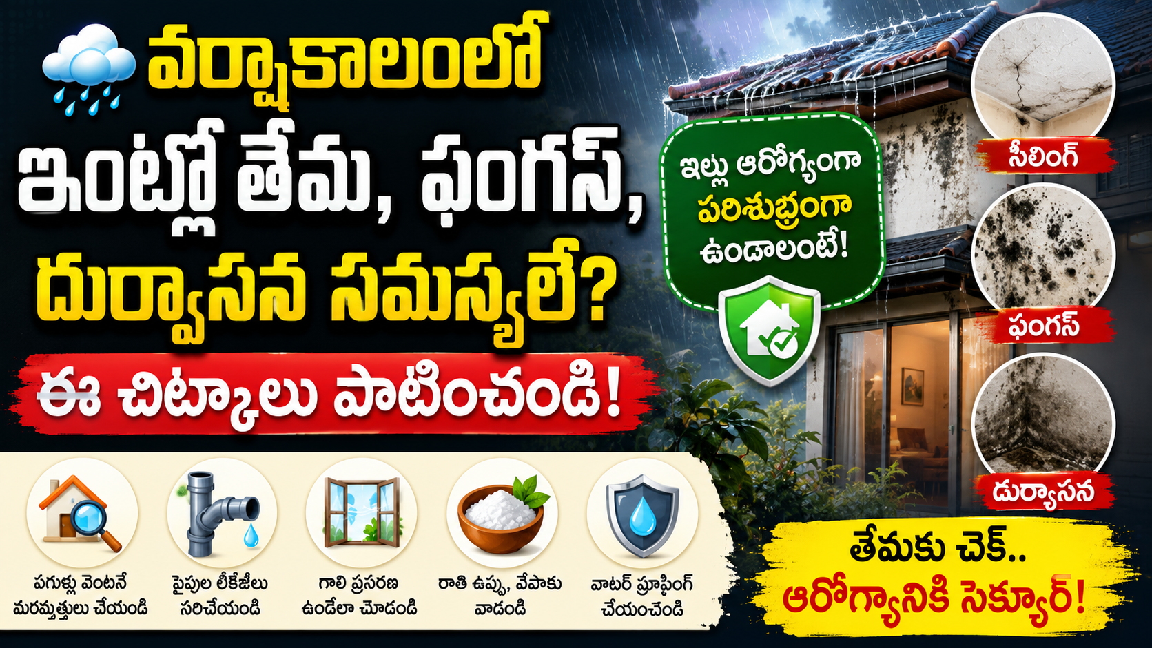 monsoon-home-moisture-fungus-prevention-tips-telugu