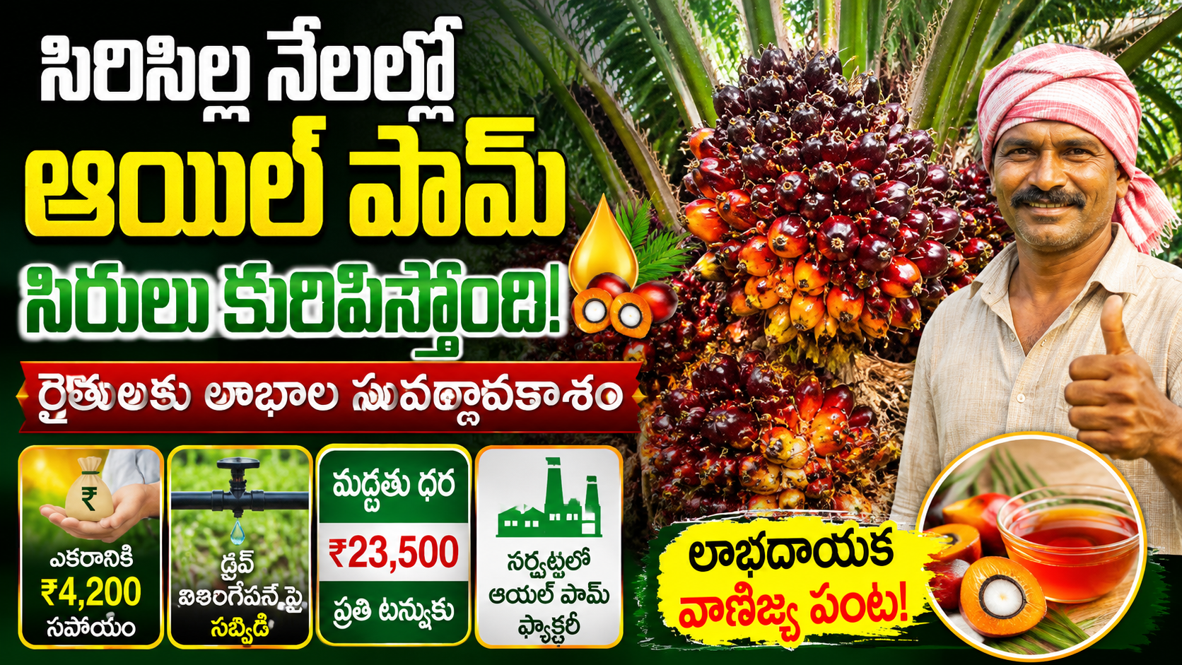 rajanna-sircilla-oil-palm-farming-profit-subsidy-telangana