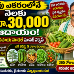 quarter-acre-natural-farming-monthly-income-model