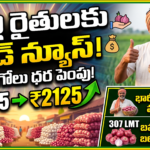 ulli-procurement-price-hike-government-hikes-onion-price