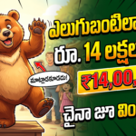 china-zoo-human-bear-job-14-lakh-salary