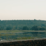 Raave Cheliya song Lyrics Srinivasa Mangapuram